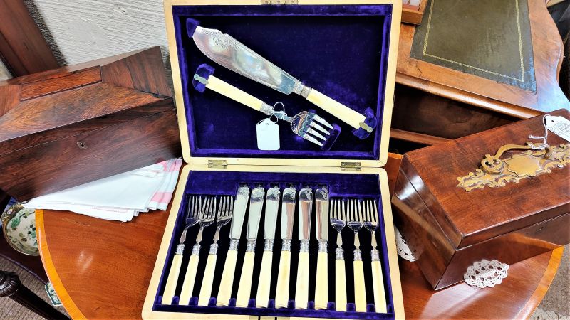 Leather cased epns fish set