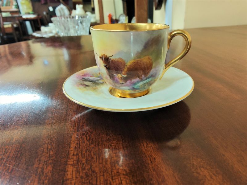 Royal worcester cup & saucer