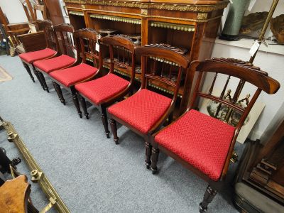 Set of six william IV mahogany dining chairs