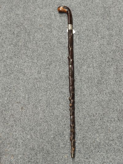 Blackthorn walking stick