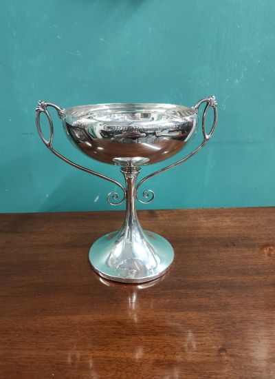 Silver trophy 