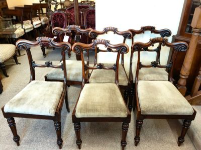 Set of 19th century mahogany chairs