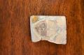 Fossil Thumbnail 2