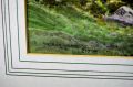 GW morrison watercolour Thumbnail 4