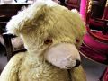 Vintage teddy bear Thumbnail 2