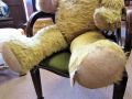 Vintage teddy bear Thumbnail 3