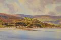Framed watercolour by sam mclarnon Thumbnail 3