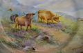 Royal worcester plate Thumbnail 2