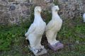 Two large garden concrete eagles / sculptures Thumbnail 2
