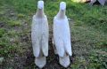 Two large garden concrete eagles / sculptures Thumbnail 4
