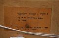 Gilt framed watercolour Thumbnail 6