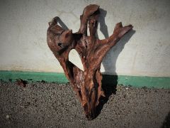 Old drift wood Thumbnail 2