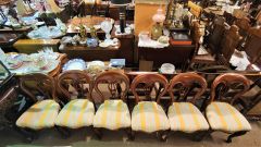 Set of six victorian mahogany chairs Thumbnail 6