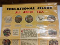 Old tea history chart Thumbnail 2