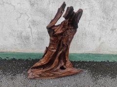 Piece of old drift wood Thumbnail 2