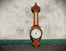 Edwardian oak cased barometer Thumbnail 4