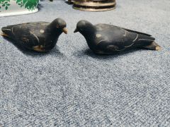 Two wooden 1920s decoy pigeons Thumbnail 6
