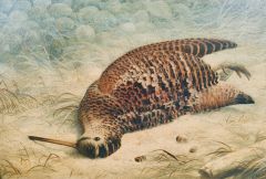 19th century gilt framed oil painting Thumbnail 3