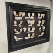 Framed collection of old pipes Thumbnail 2
