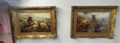 Pair of gilt framed oil paintings of highland cattle  Thumbnail 1