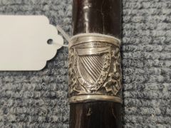 Blackthorn walking stick Thumbnail 3