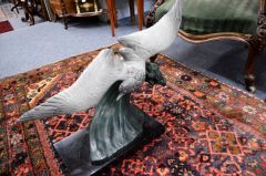 French spelter bird figure on marble plinth Thumbnail 2