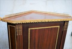 Pair of french mahogany corner cabinets with brass gallery Thumbnail 4