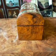 Burr walnut tea caddy Thumbnail 4