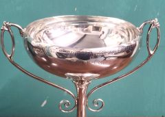 Silver trophy  Thumbnail 3