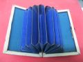 Mother of pearl card case / purse Thumbnail 2