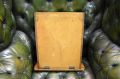 Oak glass cased collection of antique chesse scoops Thumbnail 4