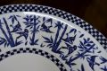 Victorian coalport plate Thumbnail 2